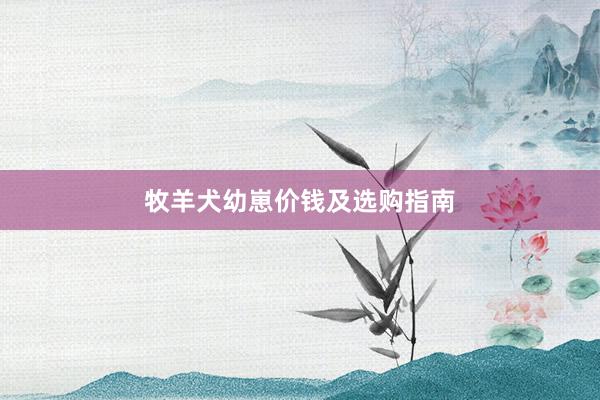 牧羊犬幼崽价钱及选购指南
