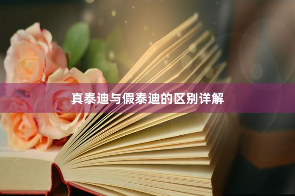 真泰迪与假泰迪的区别详解