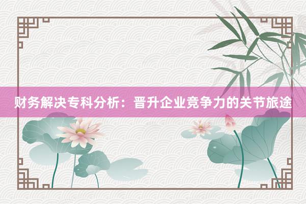 财务解决专科分析：晋升企业竞争力的关节旅途